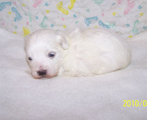 click here to see me grow