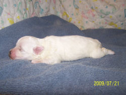 click here to see me grow