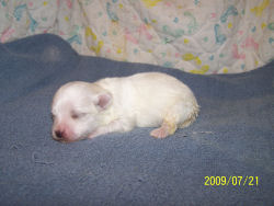 click here to see me grow